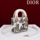 2025SS Tote Bag DIOR Dior This season's new brand new product uses colours 2025SS Tote Bag DIOR Dior This season's new brand new product uses colours