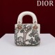 2025SS Tote Bag DIOR Dior This season's new brand new product uses colours 2025SS Tote Bag DIOR Dior This season's new brand new product uses colours