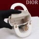 2025SS Tote Bag DIOR Dior This season's new brand new product uses colours 2025SS Tote Bag DIOR Dior This season's new brand new product uses colours