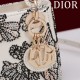 2025SS Tote Bag DIOR Dior This season's new brand new product uses colours 2025SS Tote Bag DIOR Dior This season's new brand new product uses colours
