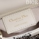 2025SS Tote Bag DIOR Dior This season's new brand new product uses colours 2025SS Tote Bag DIOR Dior This season's new brand new product uses colours