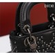 2025SS Tote Bag DIOR Dior, especially the most talked about elegant, sold out immediately 2025SS Tote Bag DIOR Dior, especially the most talked about elegant, sold out immediately