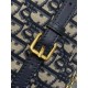 2025SS Shoulder Bag DIOR Dior Spring/Summer New Miracle Restock 2025SS Shoulder Bag DIOR Dior Spring/Summer New Miracle Restock