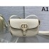 2025SS Shoulder Bag DIOR Dior Limited Edition Delivered from overseas