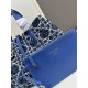 DIOR 2025FW New High Quality Tote Bag Elegant Stylish For Adult Women DIOR 2025FW New High Quality Tote Bag Elegant Stylish For Adult Women