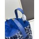 DIOR 2025FW New High Quality Tote Bag Elegant Stylish For Adult Women DIOR 2025FW New High Quality Tote Bag Elegant Stylish For Adult Women
