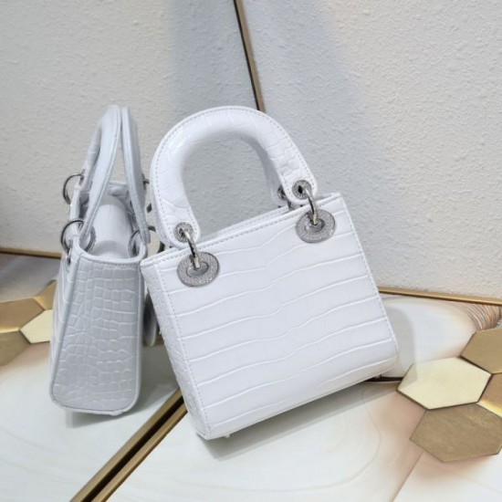 DIOR 2025FW New Popular Tote Bag High Quality Replica High Quality Stylish Design DIOR 2025FW New Popular Tote Bag High Quality Replica High Quality Stylish Design