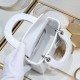 DIOR 2025FW New Popular Tote Bag High Quality Replica High Quality Stylish Design DIOR 2025FW New Popular Tote Bag High Quality Replica High Quality Stylish Design