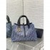 2025FW DIOR Dior tote bag New autumn/winter replica now available