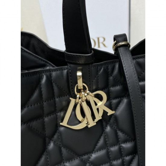 2025FW DIOR Dior tote bag Luxury replica with delicate autumn design 2025FW DIOR Dior tote bag Luxury replica with delicate autumn design