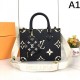 2025FW LOUIS VUITTON Louis Vuitton Women's Tote Bag New Limited Edition Special Print