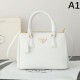 PRADA 2025FW New Popular Tote Bag Luxury Elegant Stylish Design PRADA 2025FW New Popular Tote Bag Luxury Elegant Stylish Design