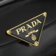 PRADA 2025FW New High Quality Shoulder Bag Popular Model Stylish Elegant PRADA 2025FW New High Quality Shoulder Bag Popular Model Stylish Elegant