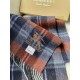 2025FW Scarf BURBERRY All colors are popular scarves