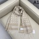 2025FW Scarf DIOR A piece that will give anyone a sophisticated impression
