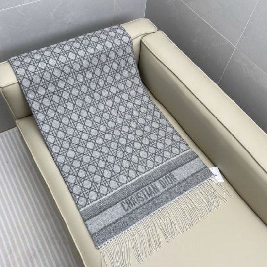 2025FW Scarf DIOR A piece that will give anyone a sophisticated impression