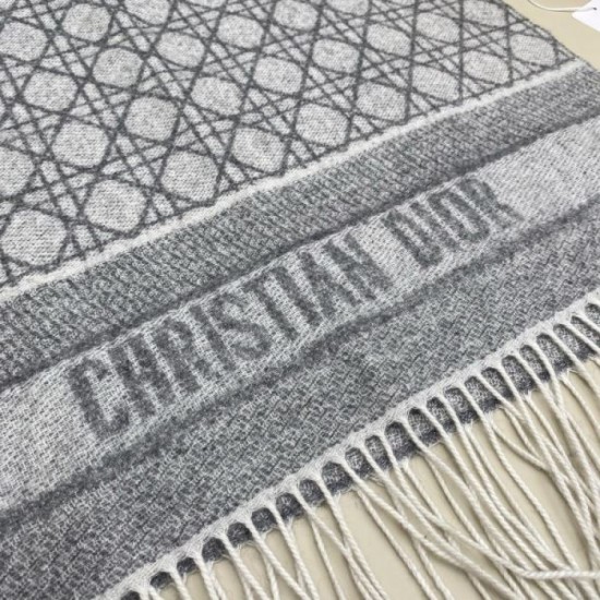 2025FW Scarf DIOR A piece that will give anyone a sophisticated impression
