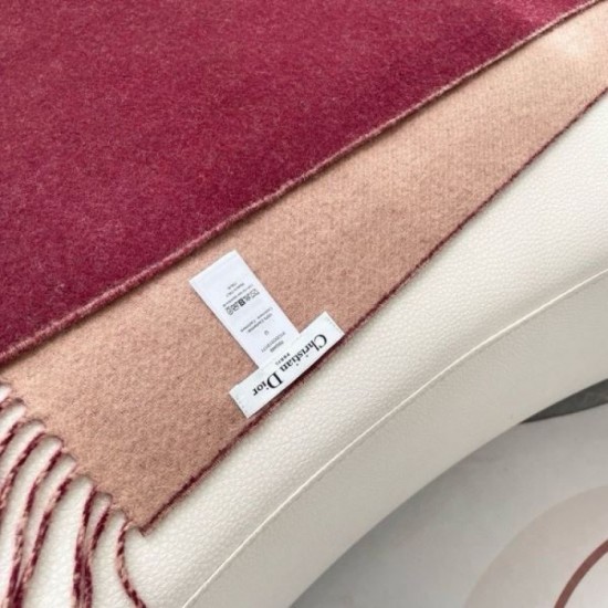 2025FW Scarf DIOR Popular items featured in magazines