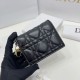 2025FW Bifold Wallet DIOR Dior This season's popular item, a must-see new item