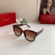 2025FW Sunglasses CARTIER Autumn/Winter Limited Color & Overseas Limited Model
